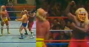 hulk hogan racist