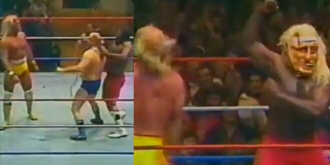 hulk hogan racist